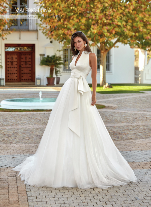 Model JUNCO